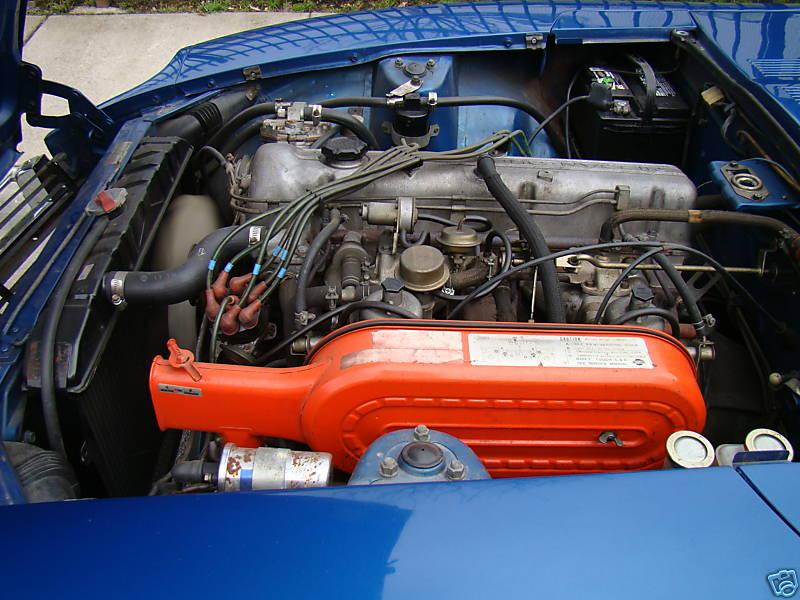 New_Z_15 