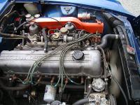 New_Z_16 