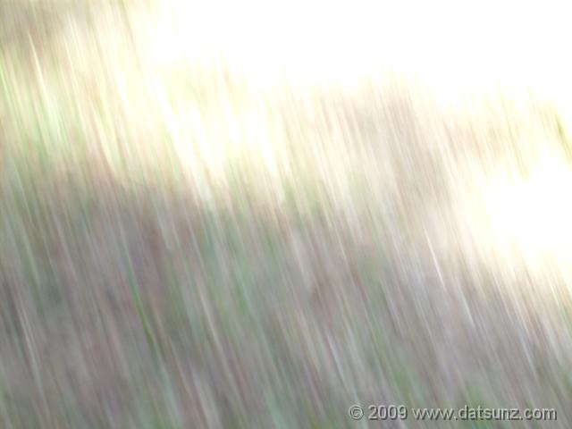 GEDC0062 R:  171 G:  255 B:  153 X:39852 Y:    0 S:    0 Zs:   6 Zp: 120 F:  654 I:    1 ImgVer:08.05.07.23