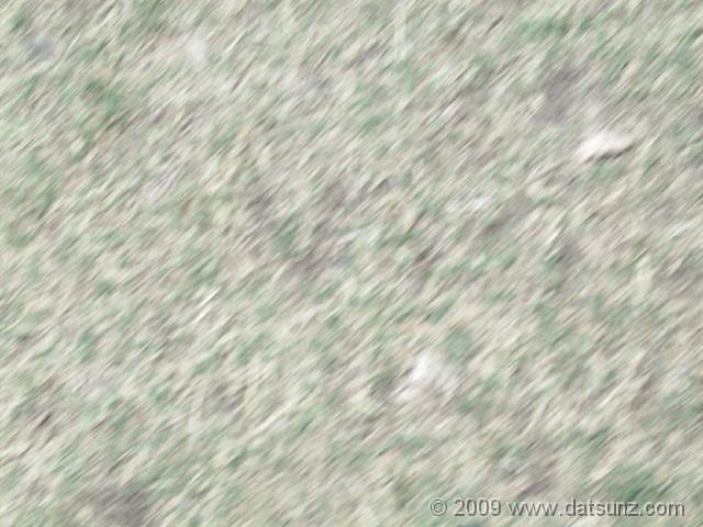 GEDC0160 R:  179 G:  255 B:  148 X:39852 Y:    0 S:    0 Zs:   5 Zp:  10 F:  680 I:    1 ImgVer:08.05.07.23
