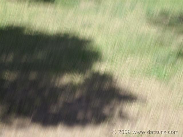 GEDC0226 R:  163 G:  255 B:  157 X:39852 Y:    0 S:    0 Zs:   6 Zp: 120 F:  588 I:    1 ImgVer:08.05.07.23