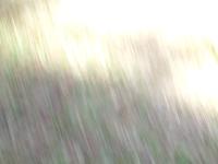 GEDC0062 R:  171 G:  255 B:  153 X:39852 Y:    0 S:    0 Zs:   6 Zp: 120 F:  654 I:    1 ImgVer:08.05.07.23