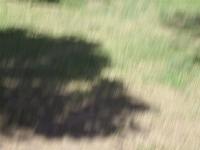 GEDC0226 R:  163 G:  255 B:  157 X:39852 Y:    0 S:    0 Zs:   6 Zp: 120 F:  588 I:    1 ImgVer:08.05.07.23